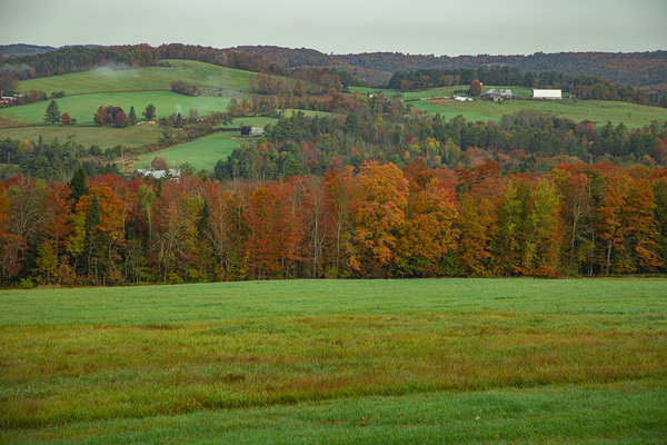 Barnet Autumn Rolling Hills by Daniel Pekar Photography