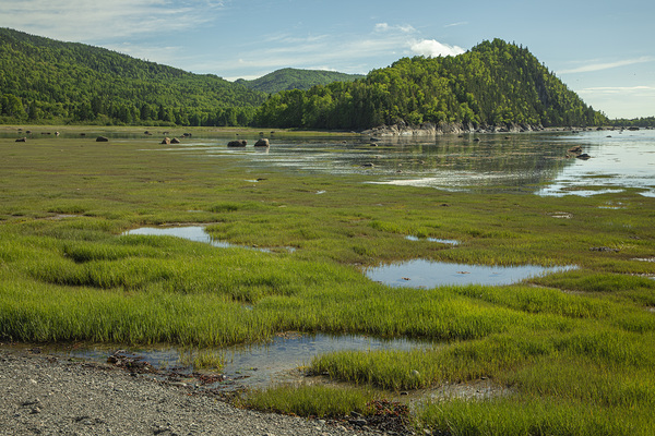 Bic National Park Beauty Print