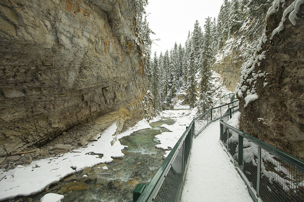 Johnston Canyon Winter Thaw by Daniel Pekar Photography