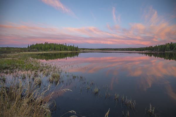 Jackfish Lake cotton candy Reflections Print