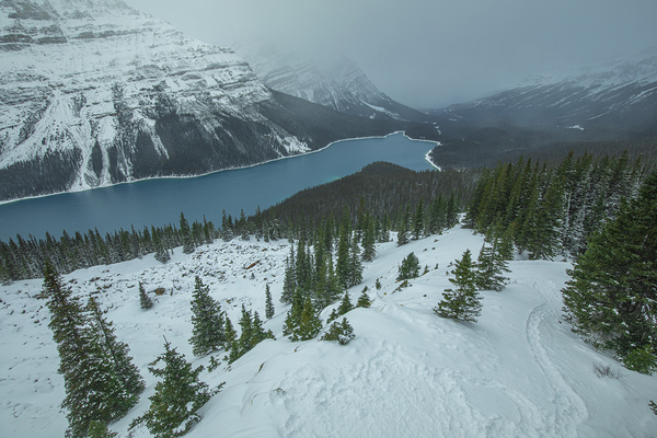 Peyto Lake winter overlook by Daniel Pekar Photography