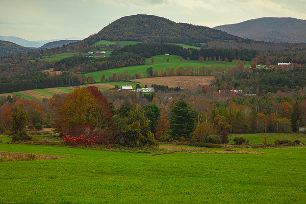 Peachham Autumn Hills by Daniel Pekar Photography