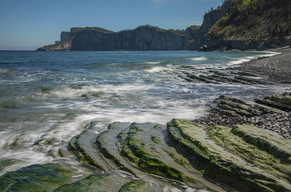 Forillon Rocky Scale Textures by Daniel Pekar Photography