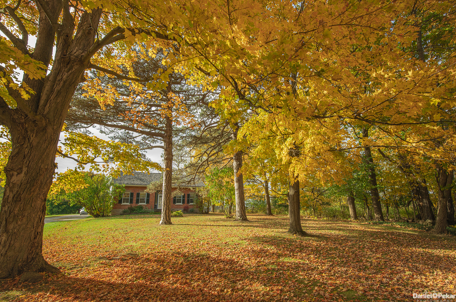 Rural Niagara Autumn Residence  Imprimer