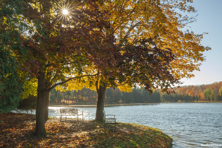 Eugenia Lake sunburst  Print