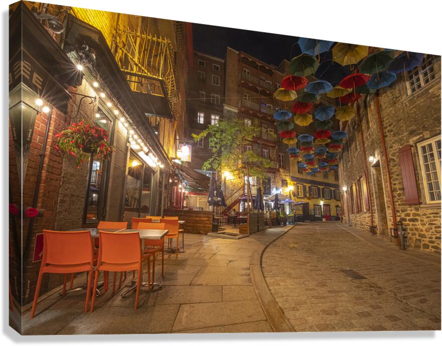 Umbrella Magic Pathway Canvas Print