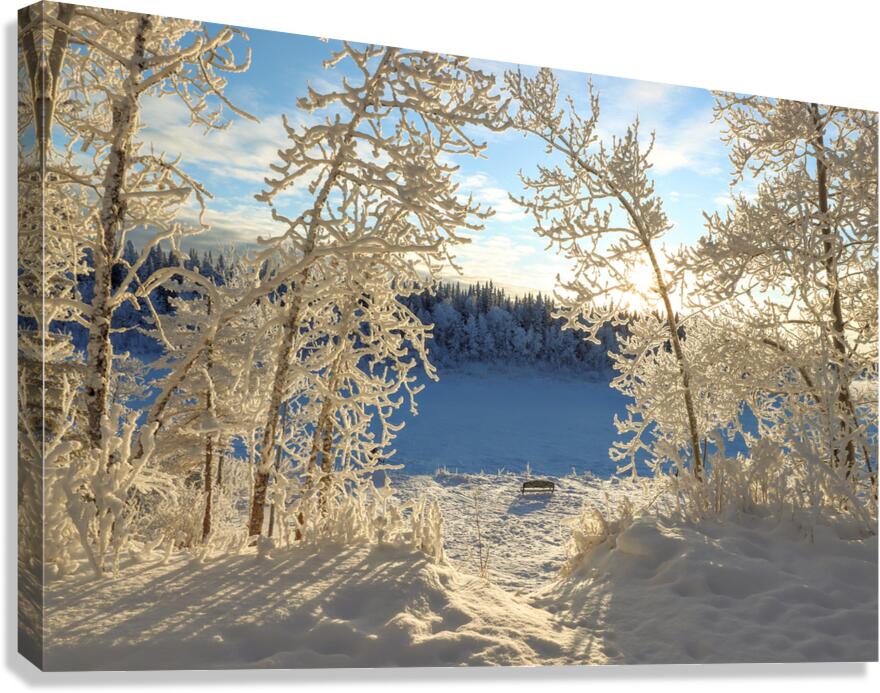 Winter Magic Canvas Print