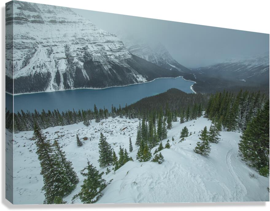 Peyto Lake winter overlook Canvas Print