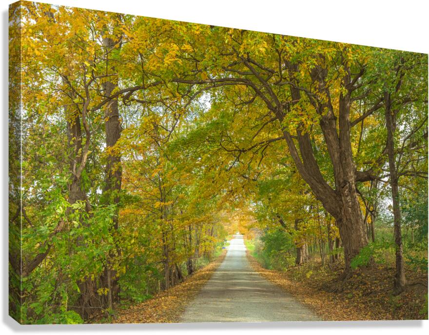Rural Niagara Autumn Path Canvas Print