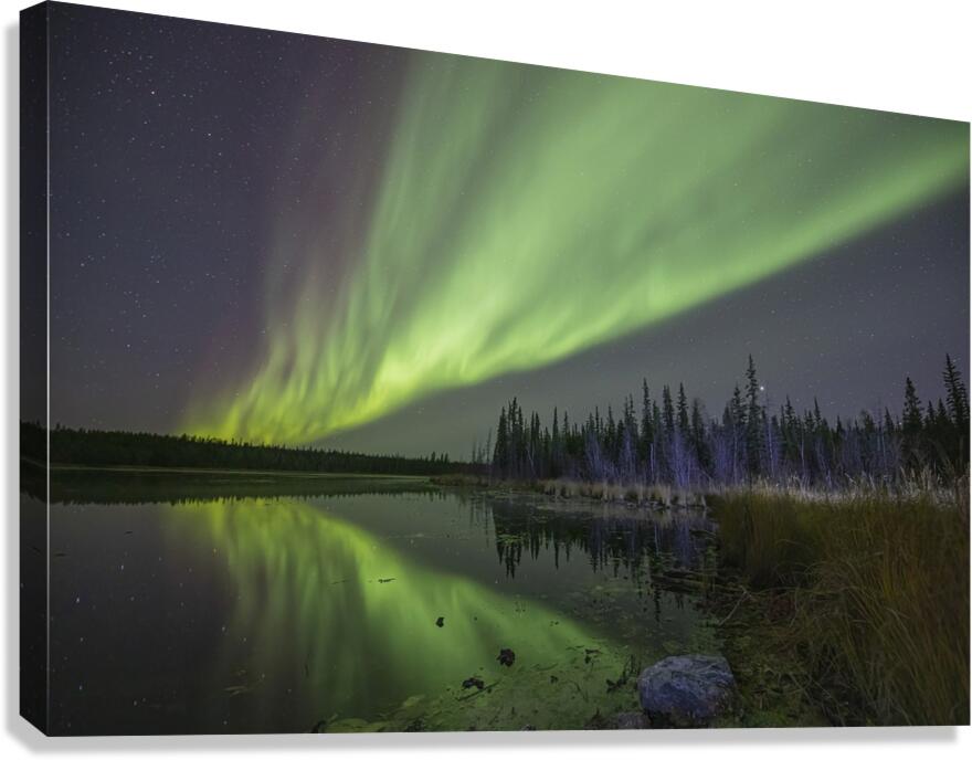 Aurora Pond Dance Canvas Print