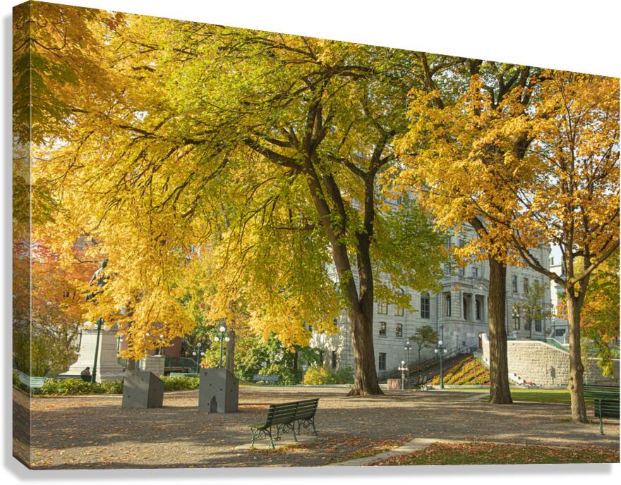 Autumn Splash in Quebec City Canvas Print