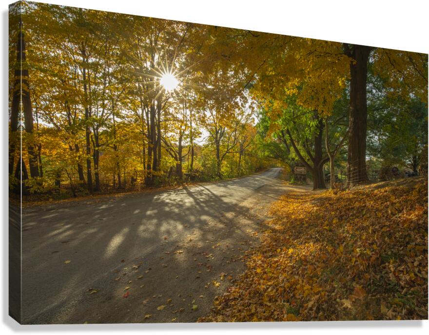 Howells Autumn Road Canvas Print