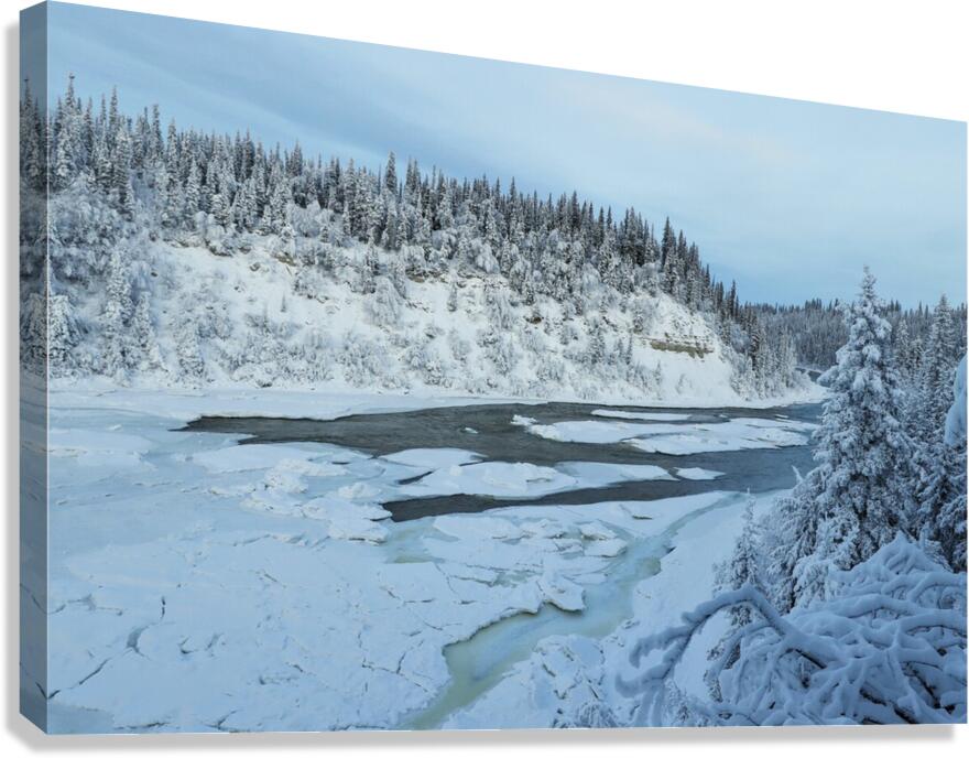 Lady Evelyn Winter Wonderland Canvas Print