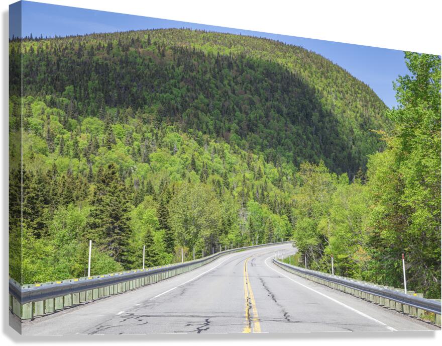 Mountain Road in Forillon National park Canvas Print