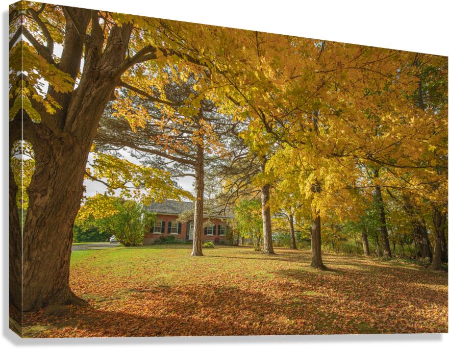 Rural Niagara Autumn Residence Canvas Print