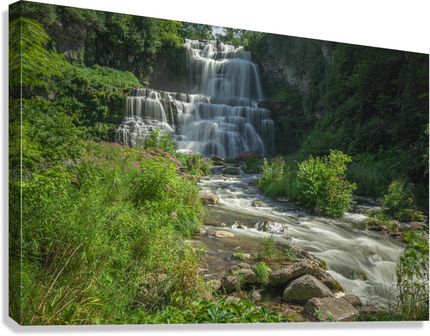 Summer at Chittenango Falls Canvas Print