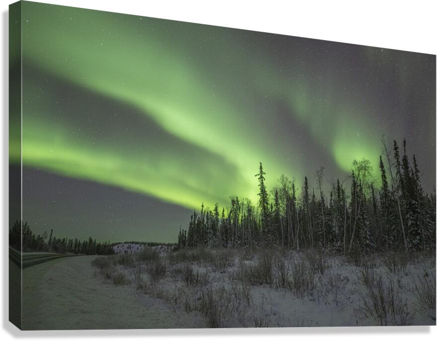 Ingraham Aurora Ribbons Canvas Print