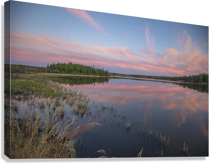 Jackfish Lake cotton candy Reflections Canvas Print