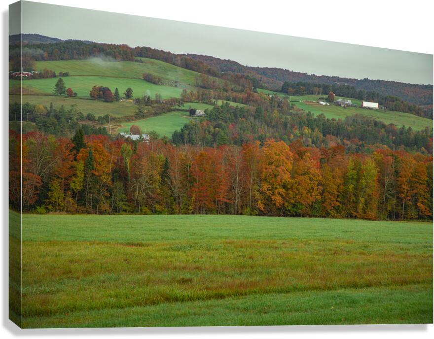 Barnet Autumn Rolling Hills Canvas Print