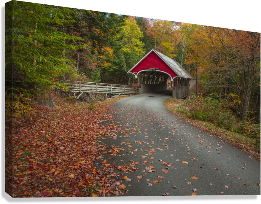 Magical Autumn Path to Bridge Canvas Print