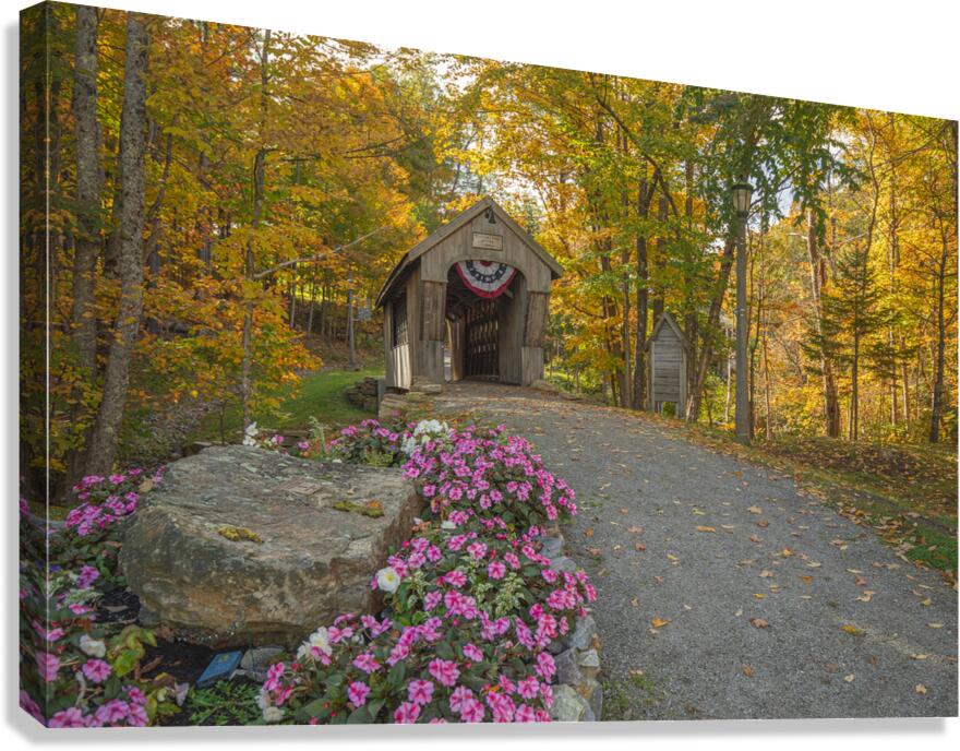 Autumn walk to Tannery Hill Bridge Canvas Print