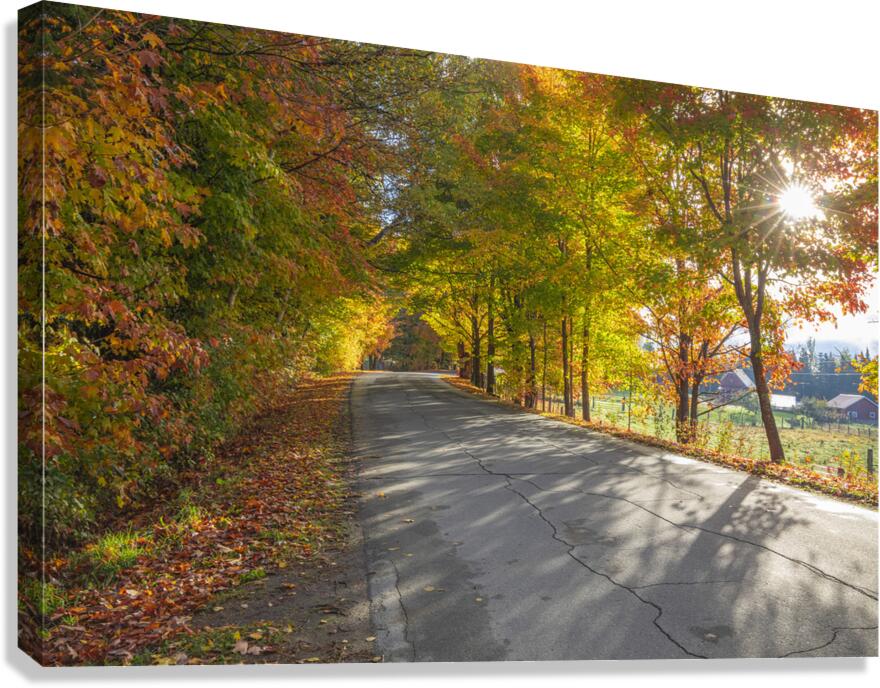 Autumn Road Morning Glow Canvas Print
