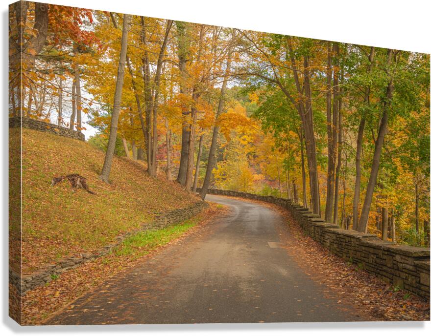 Letchworth Autumn Road to Paradise Canvas Print