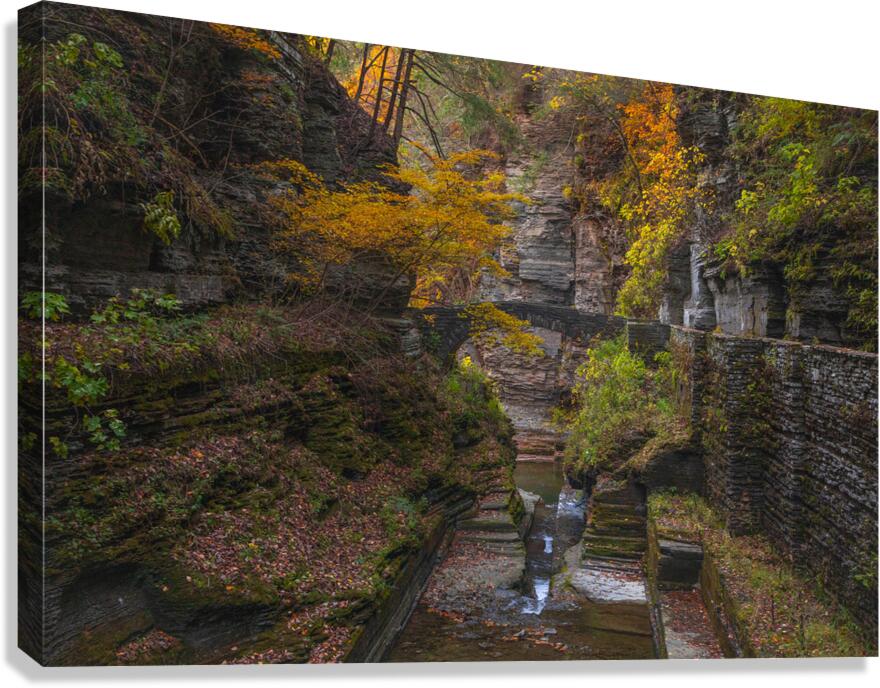 Autumn Gorge Paradise Canvas Print