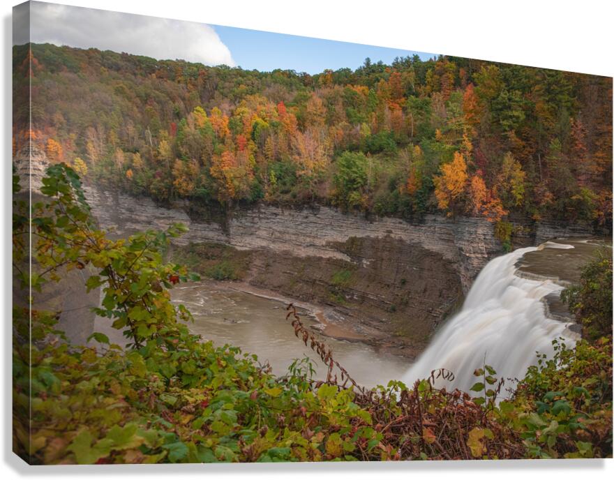Autumn Splash At Middle Falls Canvas Print
