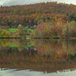 Pensioner Fall Reflections