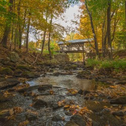Autumn River Paradise