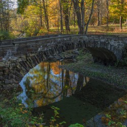 Old Stone Bridge Reflections