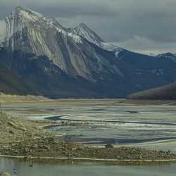 Medicine Lake Majesty
