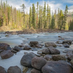 Sunwapta River Beauty
