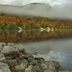 Autumn Morning Vibrancy