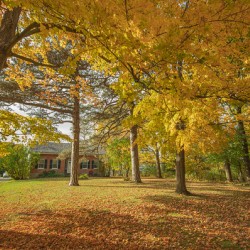 Rural Niagara Autumn Residence