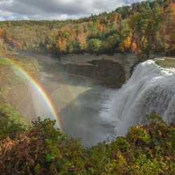 Autumn Letchworth Wonderland