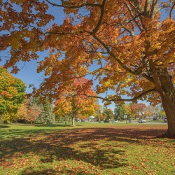 Niagara falls Autumn Magic