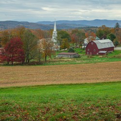 Peachham Autumn Farm