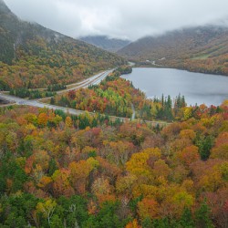 Artist s Bluff Autumn lookout
