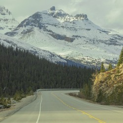 Mountain Road in Banff National park