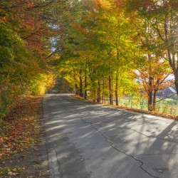Autumn Road Morning Glow