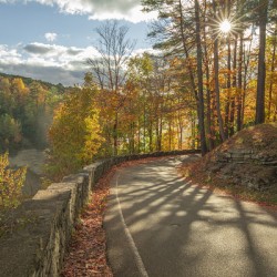 Letchworth Autumn Road Evening Glow