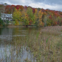 Saint Sophie Autumn Vibrancy