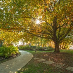 Letchworth Autumn Glow