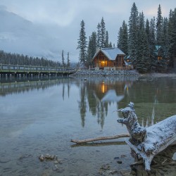 Foggy Mornings at Cilantro Resturant