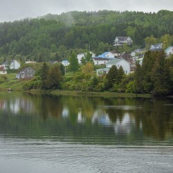 Foggy Spring Morning refections