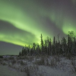 Ingraham Aurora Ribbons