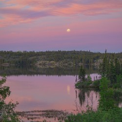 Cotton Candy skies at Jackfish Lake