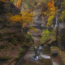 Autumn Gorge Paradise